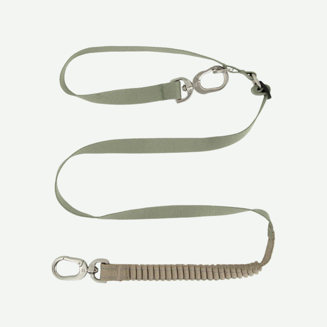 Correa de paseo Flex para perros - Hidream