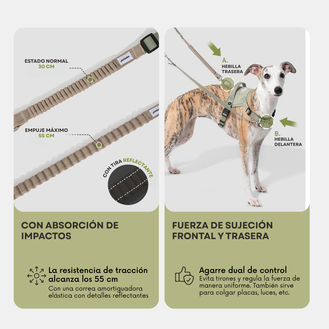 Correa de paseo Flex para perros - Hidream