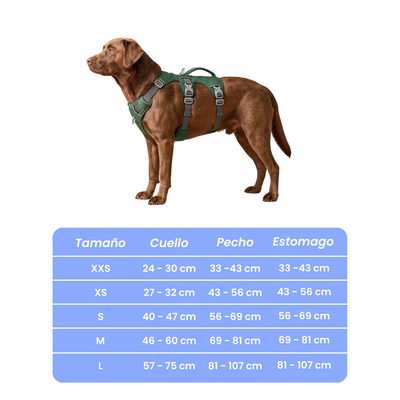 Arnés Antiescape y Antitirón para Perros