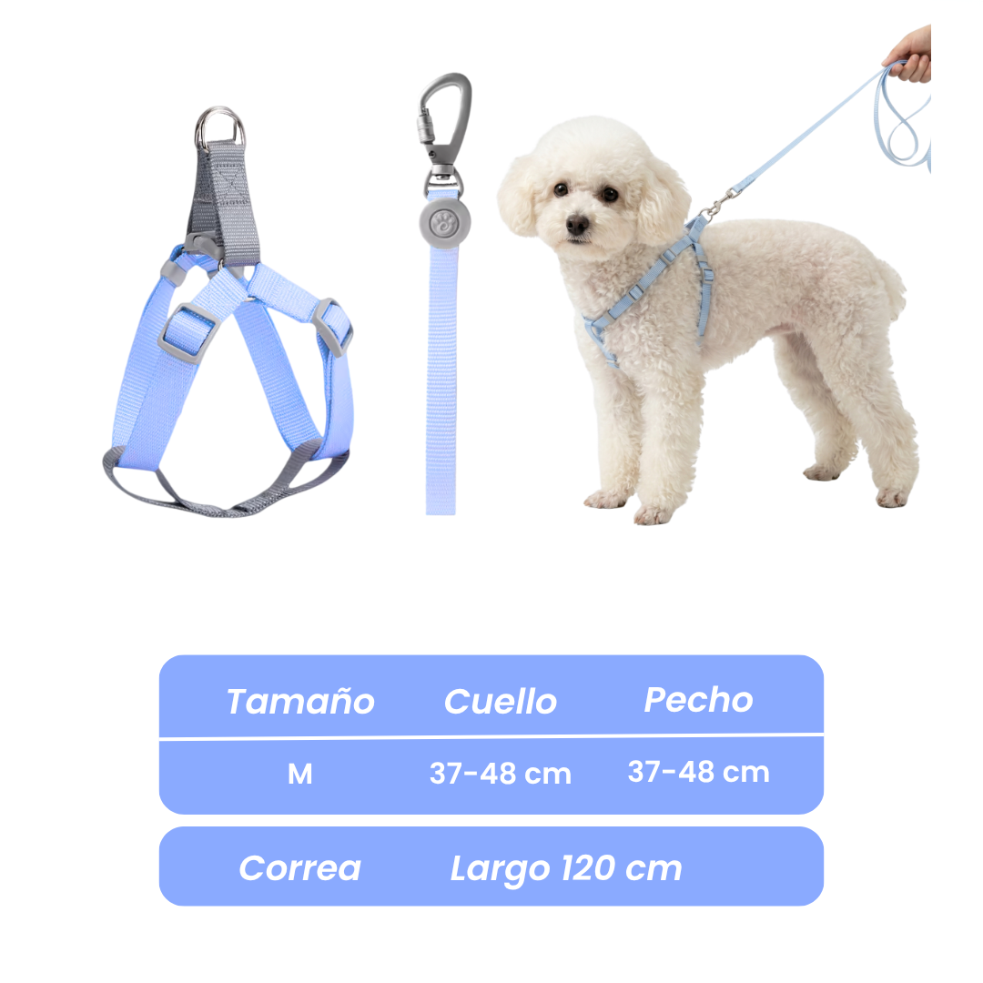 Conjunto Arnés + Correa Paseo Ligero 1.5mts