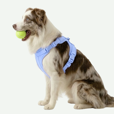 Arnés Ergonómico y Antitirón para Perros