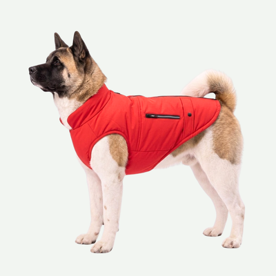 Chaqueta forrada impermeable Razas Grandes