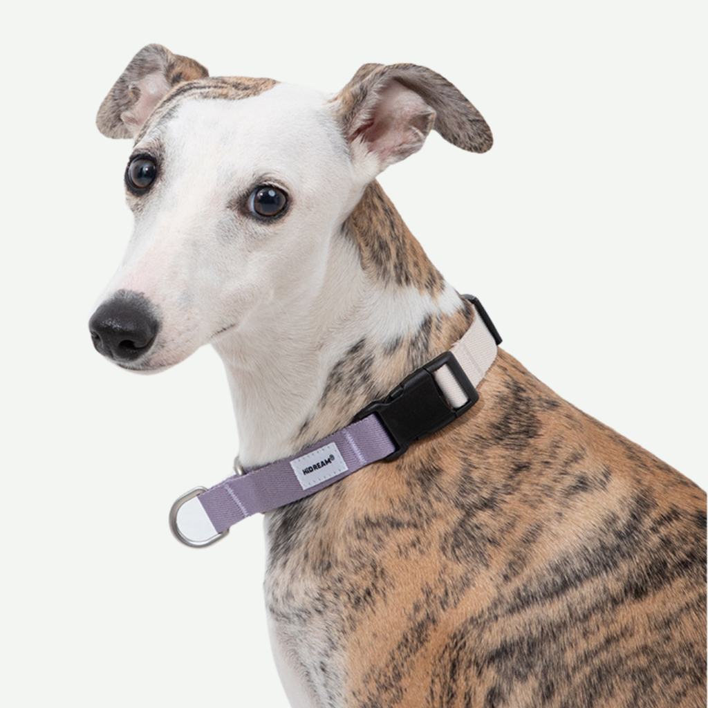 Collar Safe para perros - Hidream