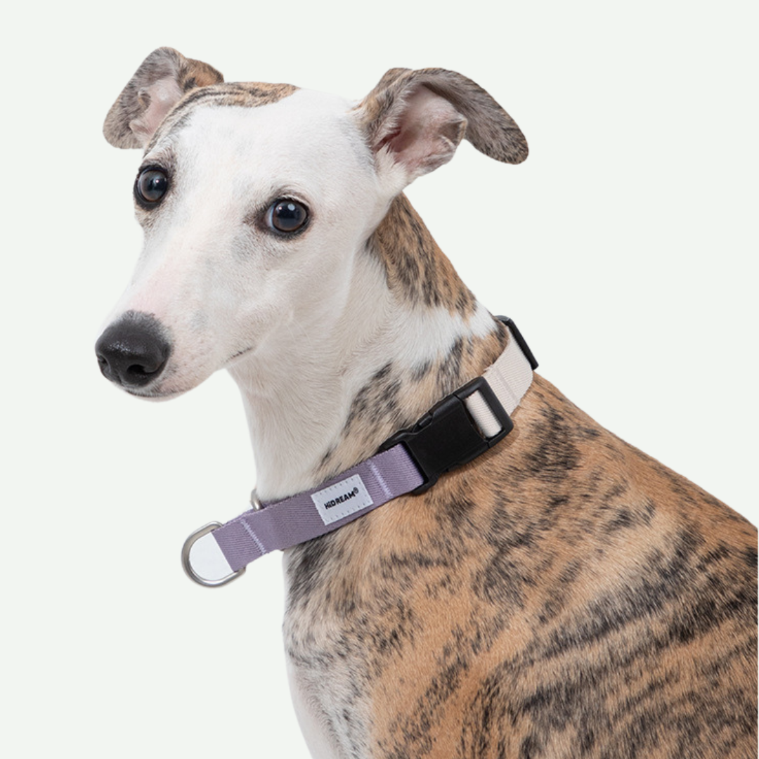 Collar Safe para perros - Hidream