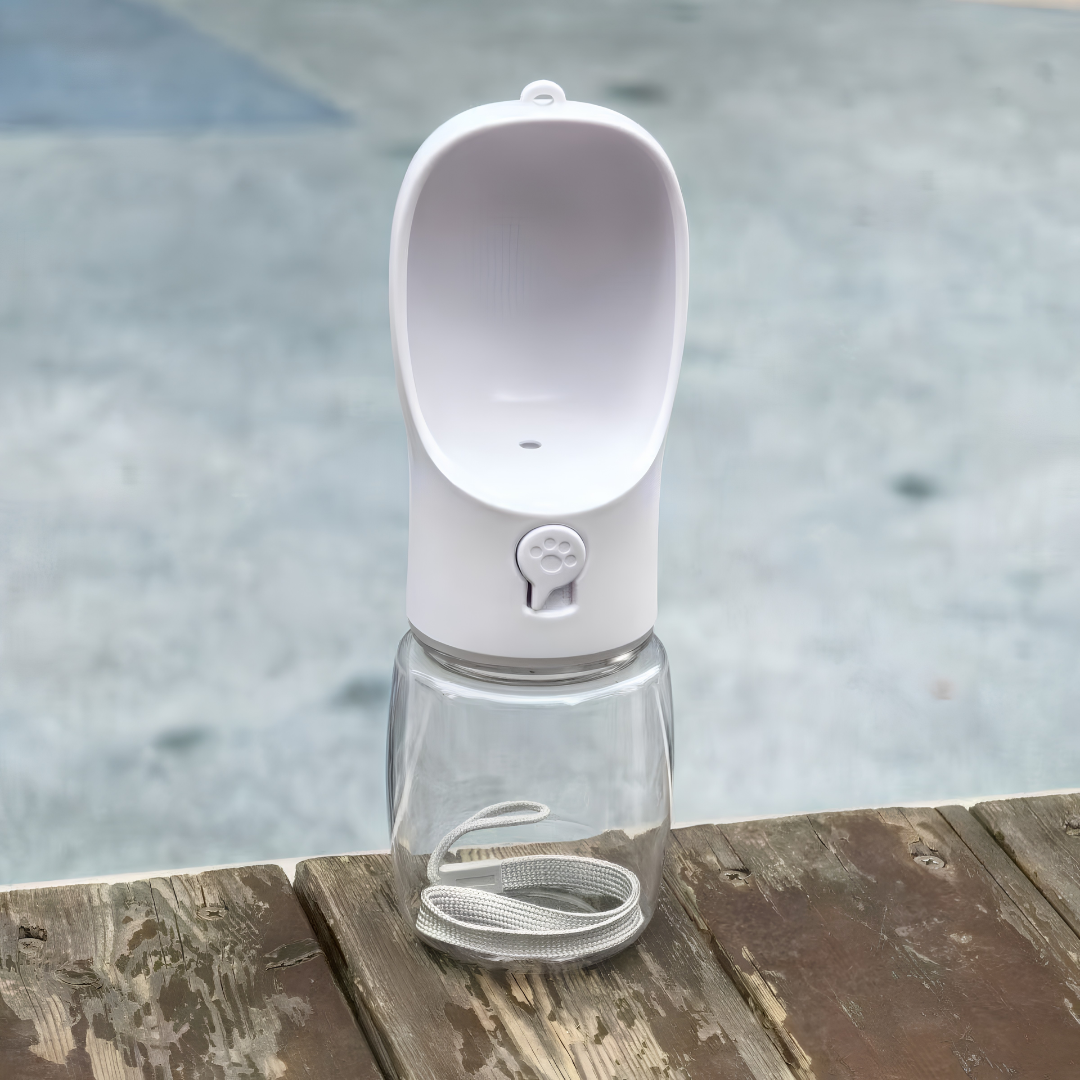 Botella dispensadora de agua 350ml