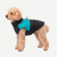 Chaqueta forrada impermeable Colores