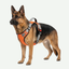 Arnés Police K9 H Colores