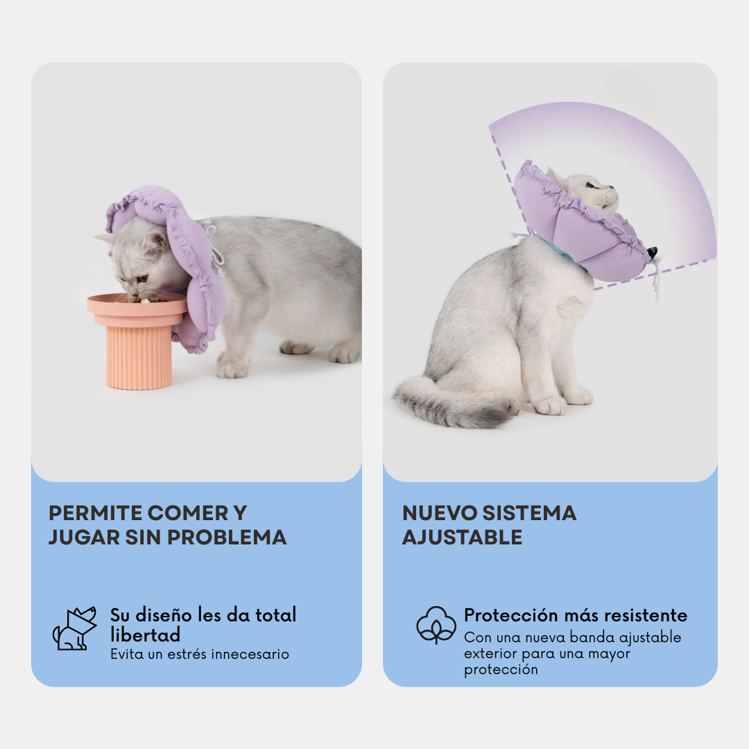Collar Isabelino Acolchado Ajustable