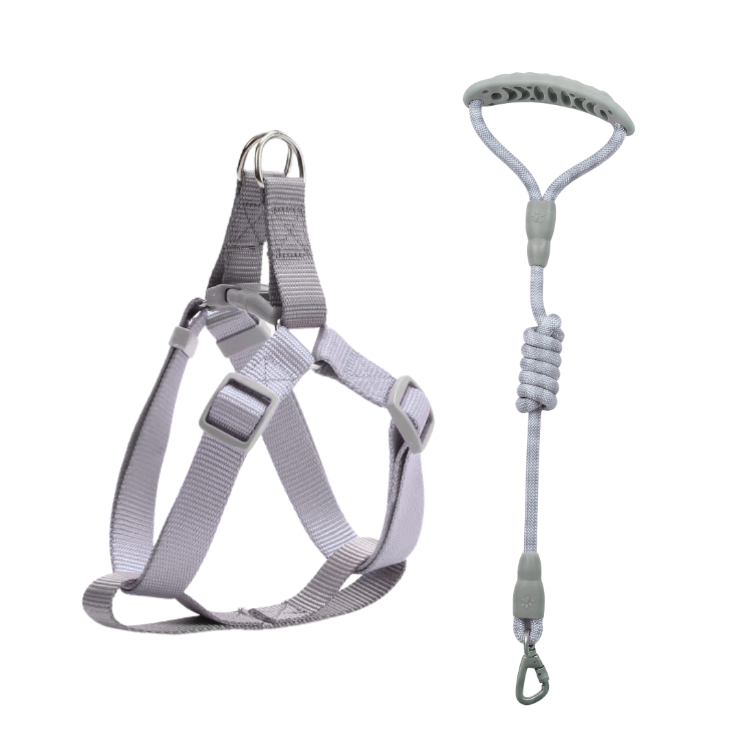 Conjunto Arnés + Correa Paseo Ligero 1.5mts