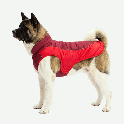 Chaqueta forrada impermeable Razas Grandes