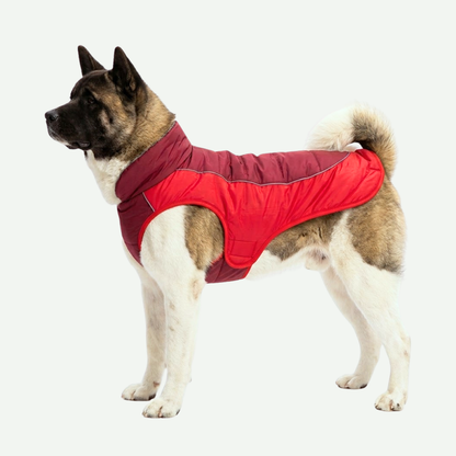 Chaqueta forrada impermeable Razas Grandes