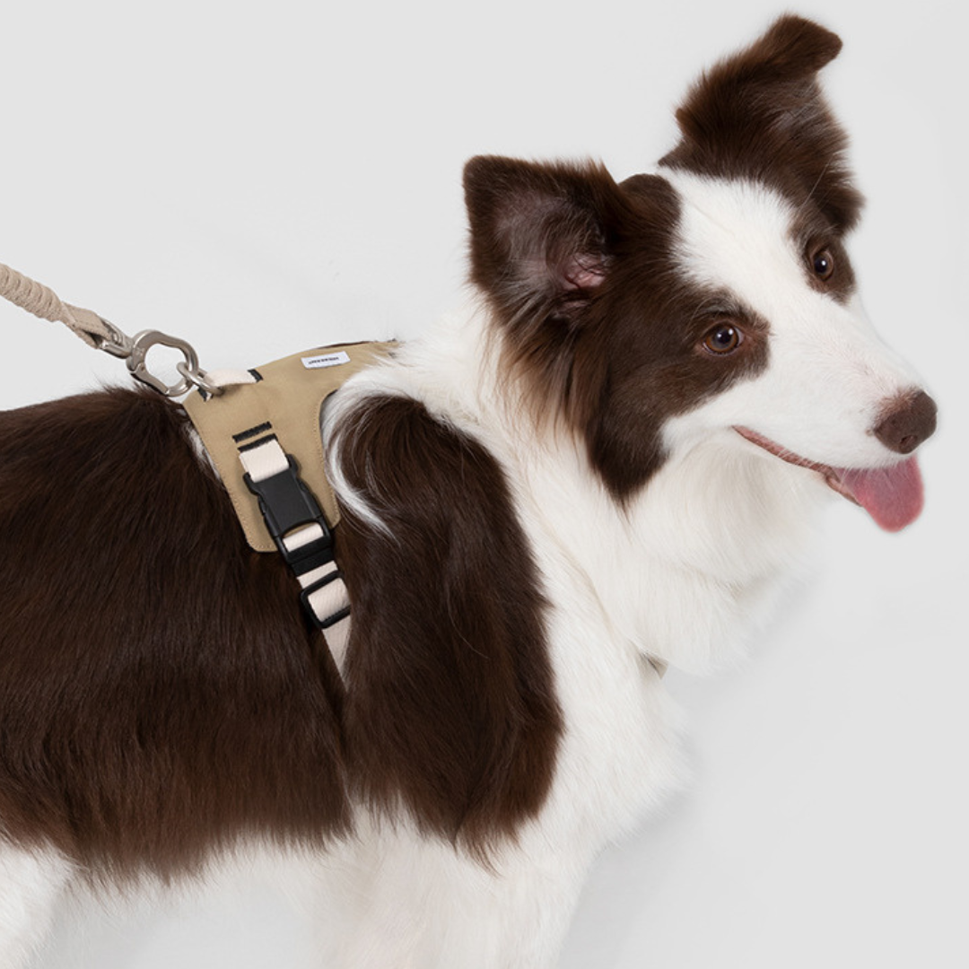 Arnés Flow para perros - Hidream