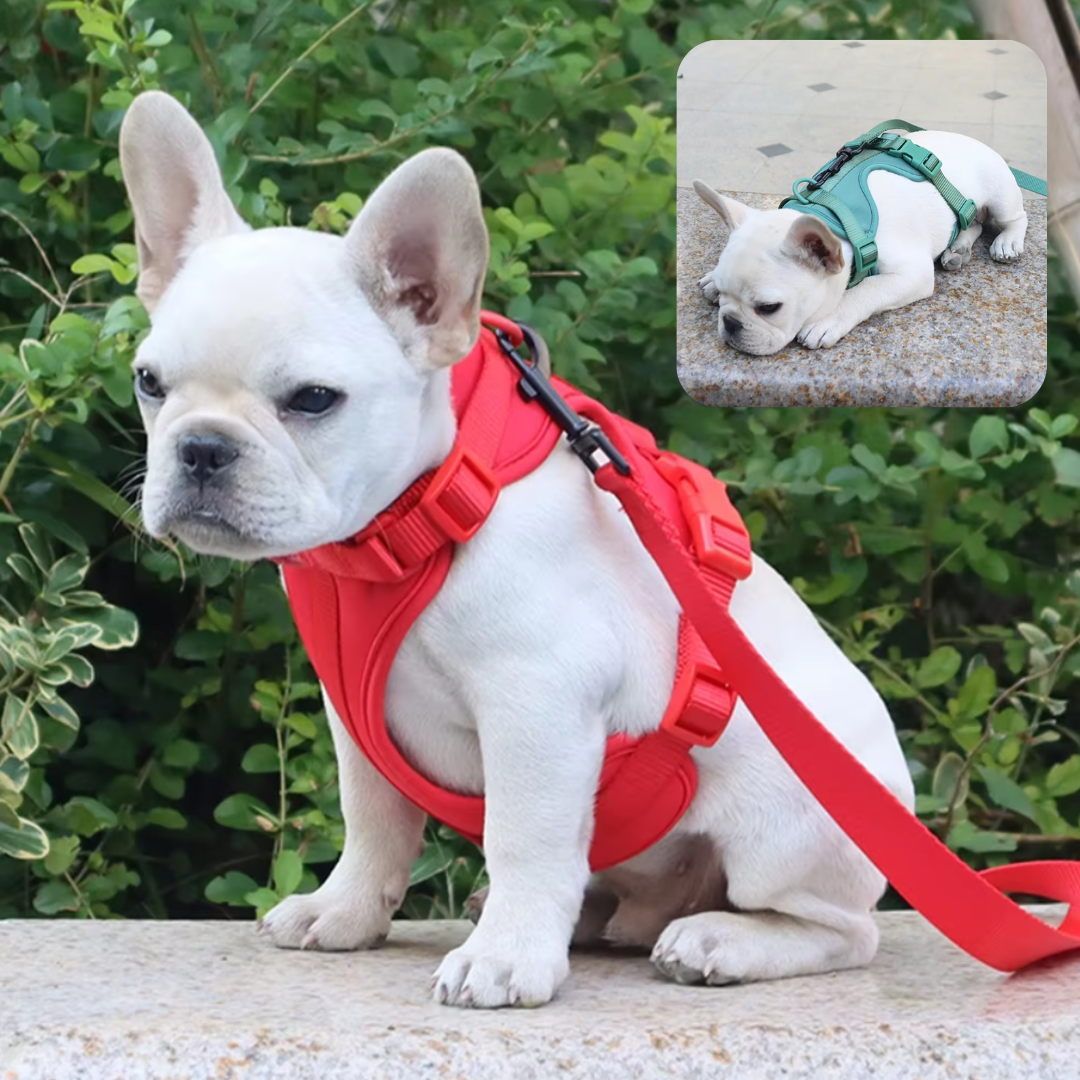 Arnés Ergonómico y Antitirón para Perros