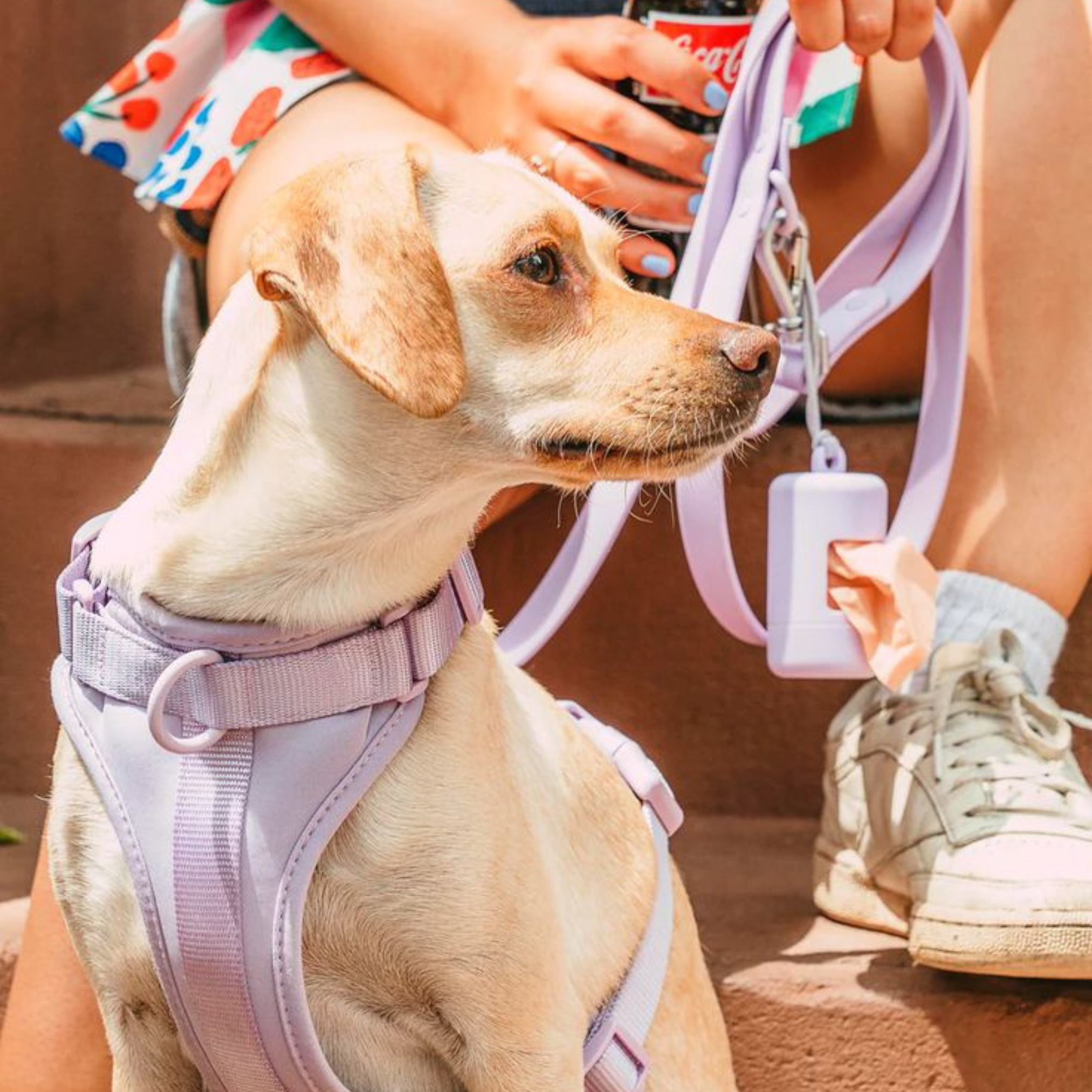 Arnés Ergonómico y Antitirón para Perros