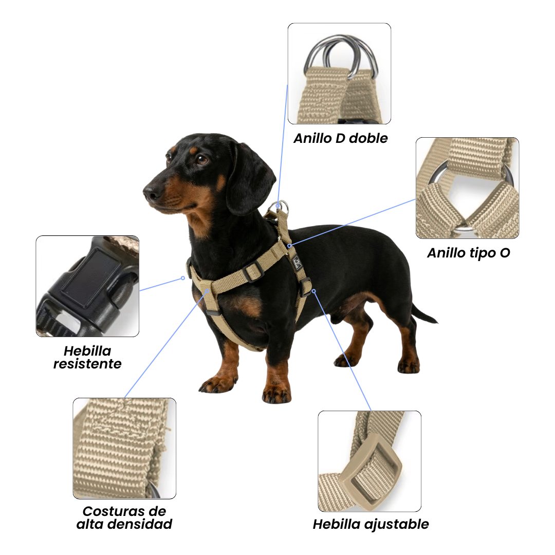 Arnés ligero para perros