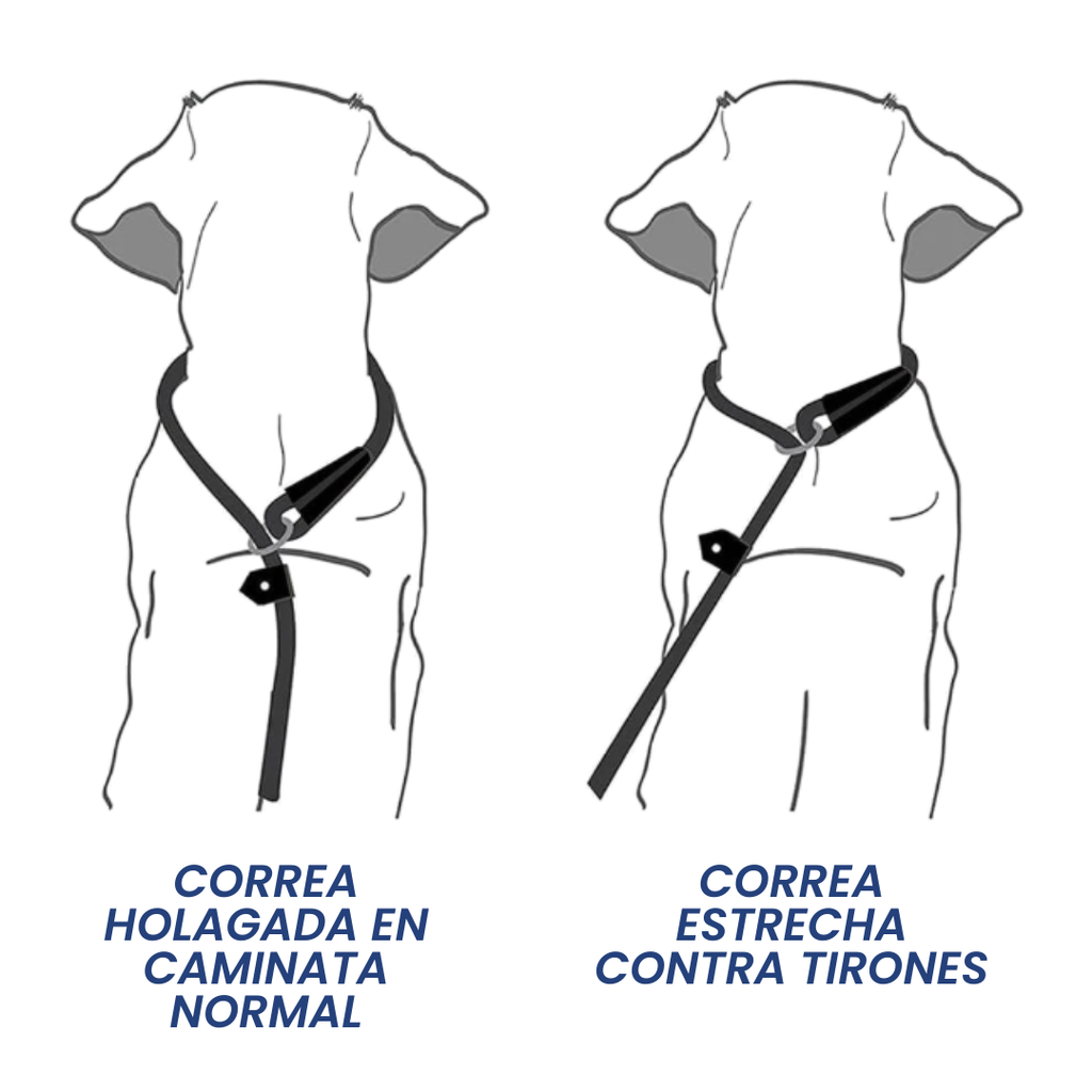 Correa Antitirones  Slip Leash de paseo 1.2 mts