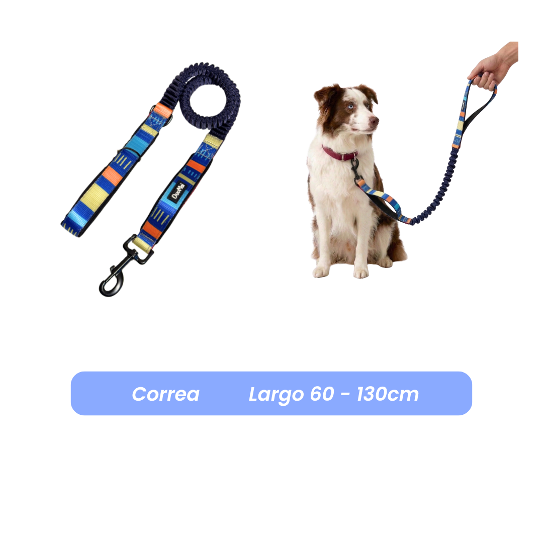 Correa elástica retráctil de paseo 1.3 mts