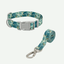 Jungle | Conjunto Collar y Correa de Paseo para Perros