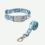 Conjunto Collar y Correa de Paseo para Perros