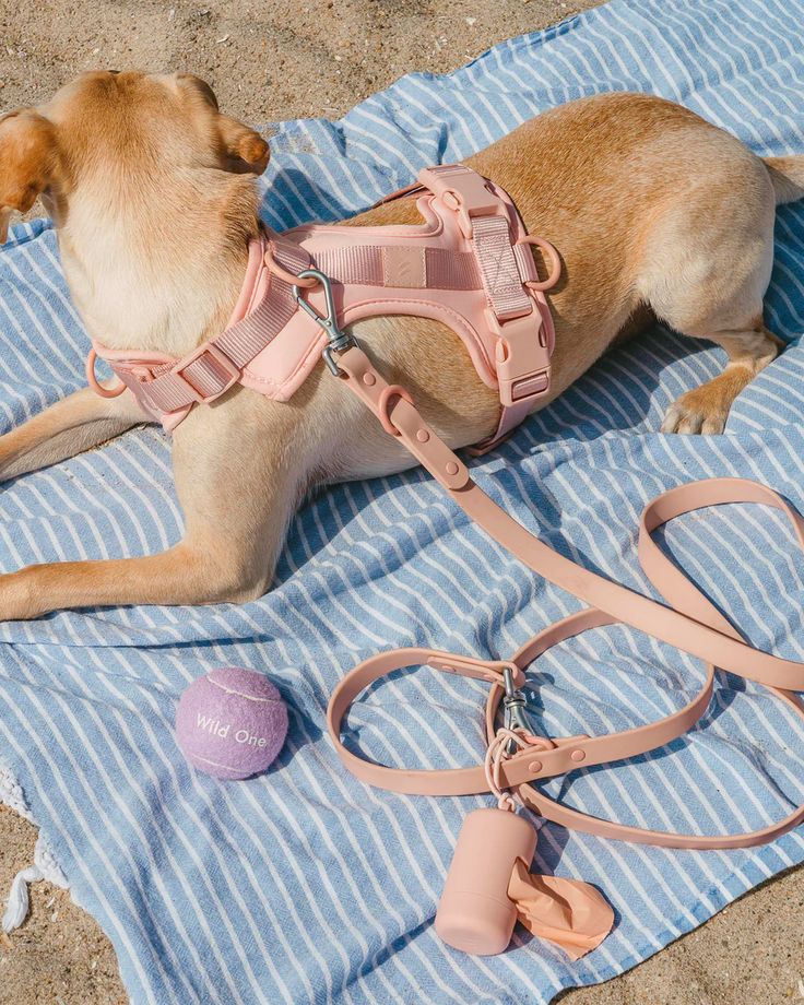 Arnés Ergonómico y Antitirón para Perros