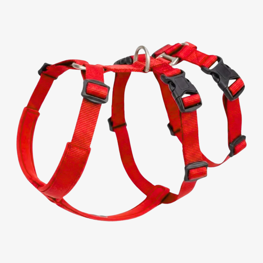 Arnés Antiescape Ligero