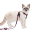 Conjunto Arnés y Correa Para Gatos