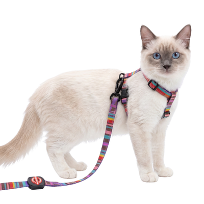Conjunto Arnés y Correa Para Gatos