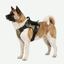 Arnés táctico Police K9  Razas Fuertes