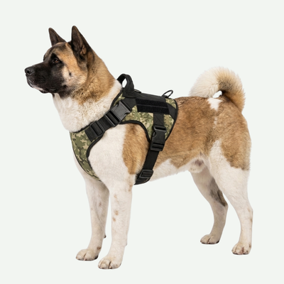 Arnés táctico Police K9  Razas Fuertes