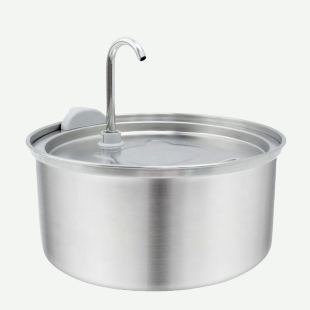 Fuente de agua Automatica 2L Acero inoxidable
