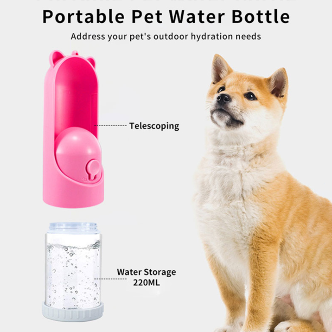 Botella dispensadora de agua 220ml