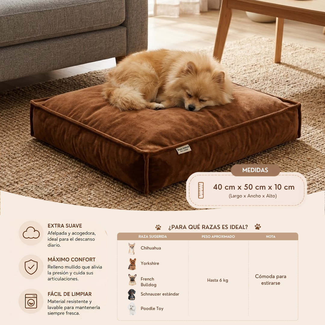 Cama para Gatos y Perros Pequeños