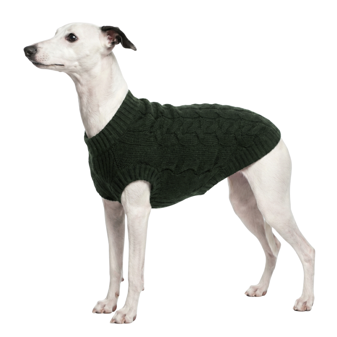 Chalecos Tejidos para Perros