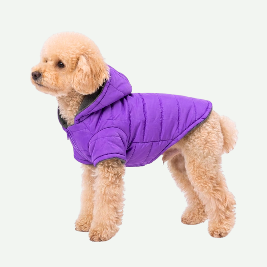 Chaqueta forrada Colores