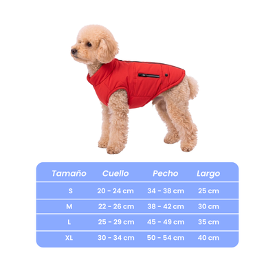 Chaqueta forrada
