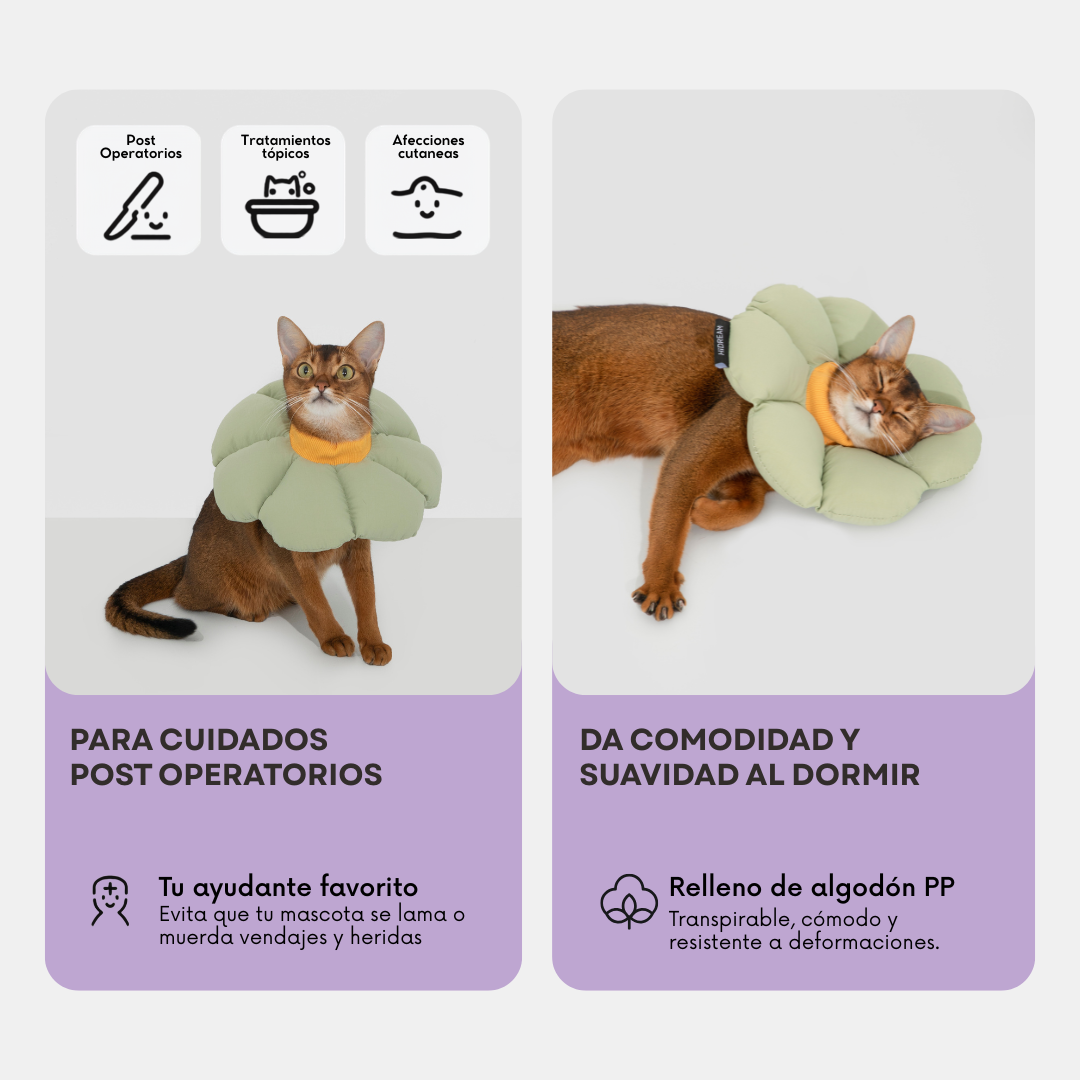 Collar Isabelino Acolchado Ajustable