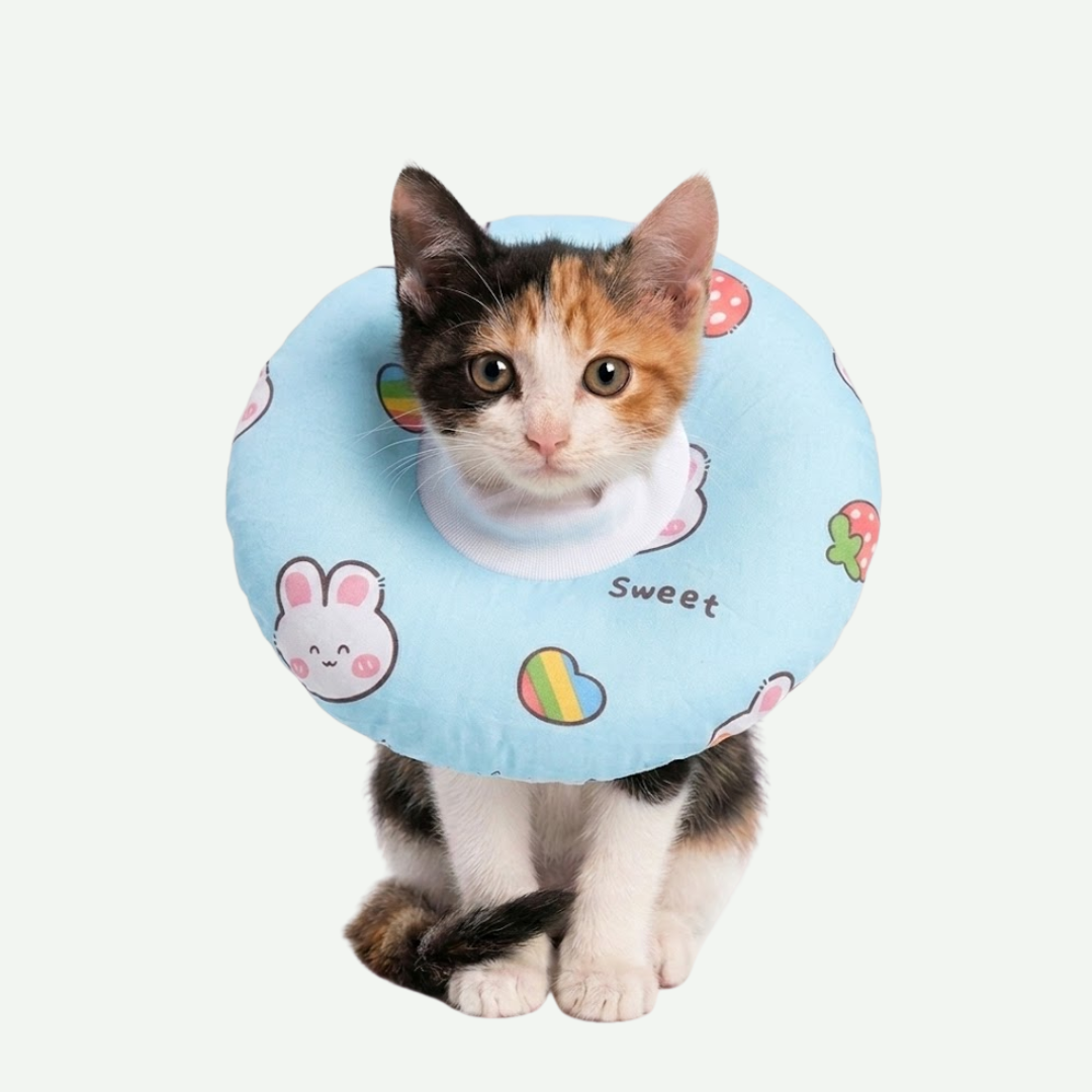 Collar Isabelino Ajustable Acolchado