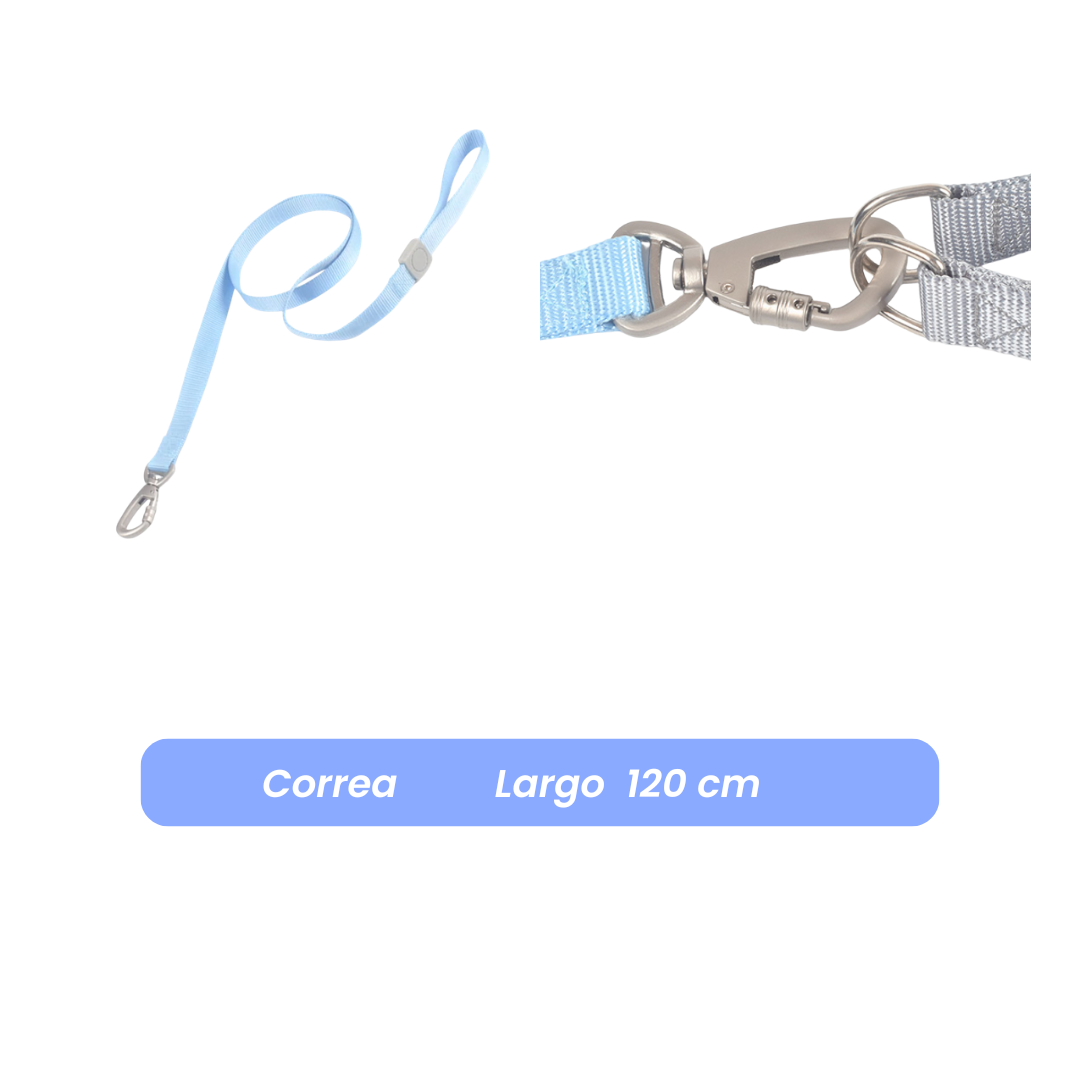 Correa de paseo 1.2mts * 2cm