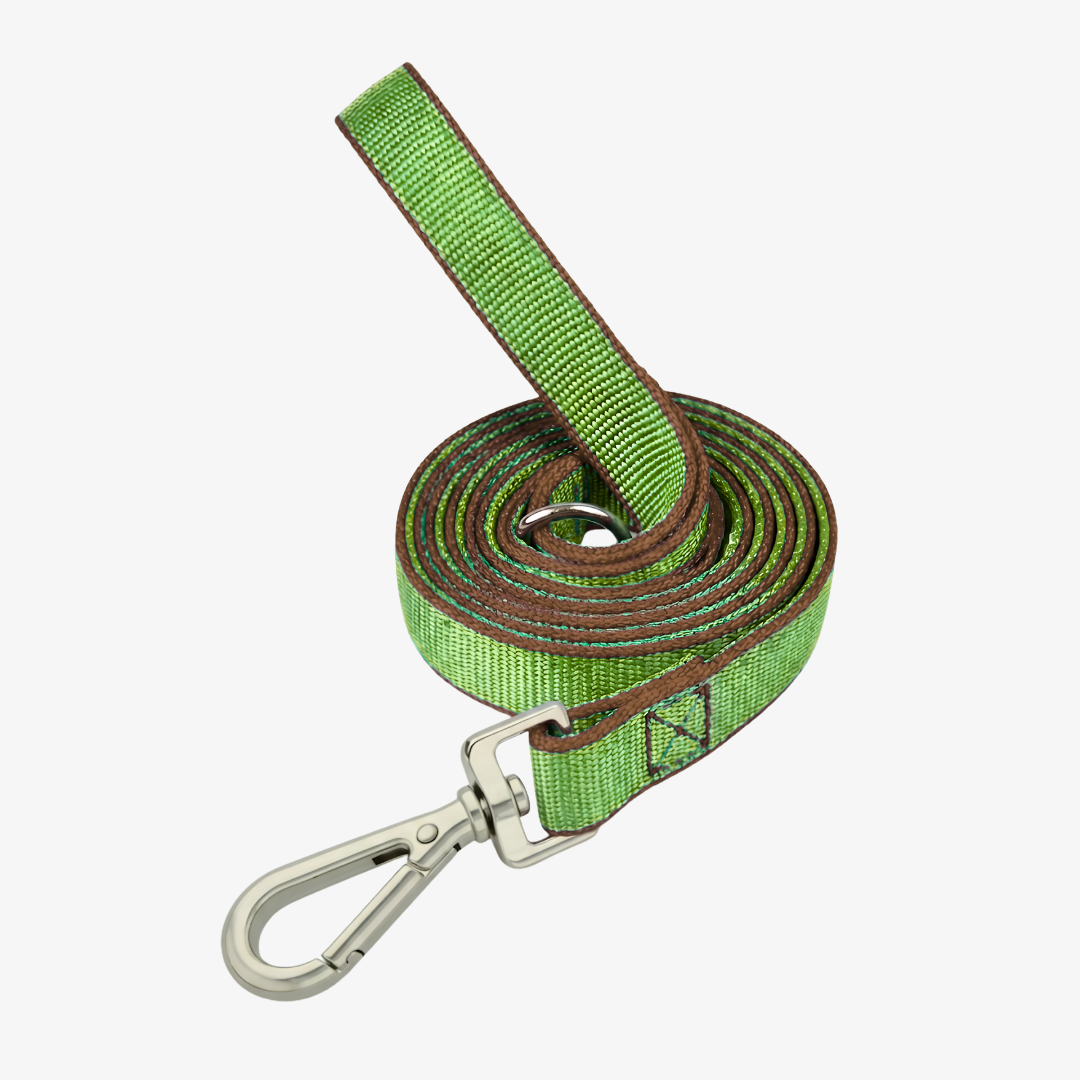 Correa de paseo plana 3mts*2.5cm
