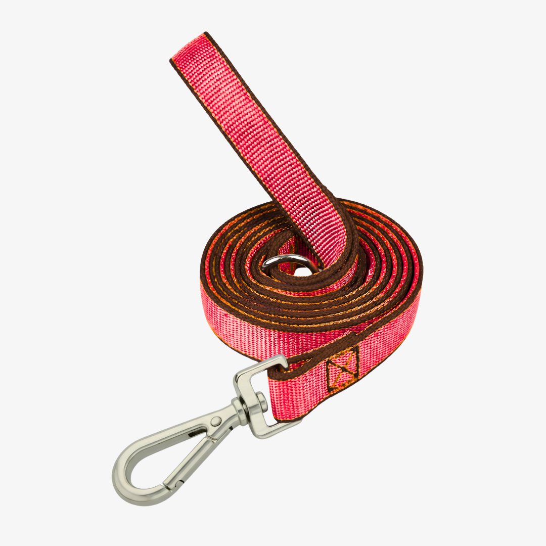 Correa de paseo plana 3mts*2.5cm