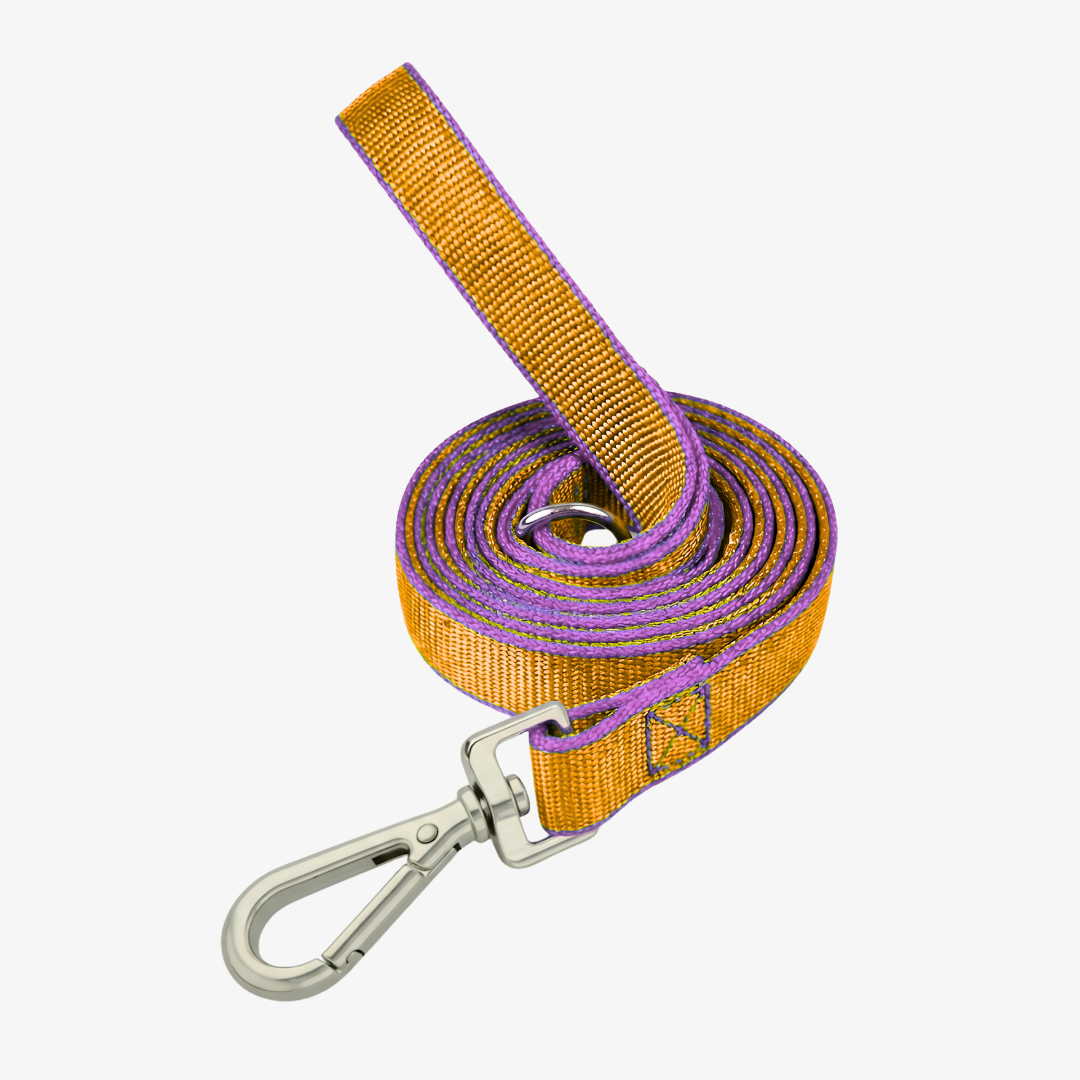 Correa de paseo plana 3mts*2.5cm