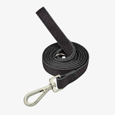Correa de paseo plana 3mts*2.5cm