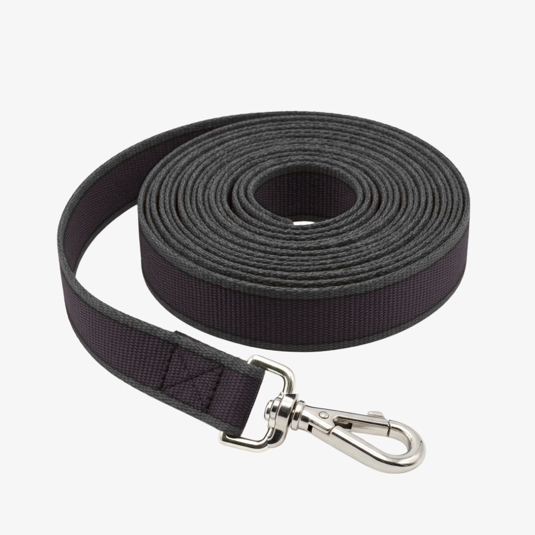 Correa de paseo plana 1.5mts*3.8cm