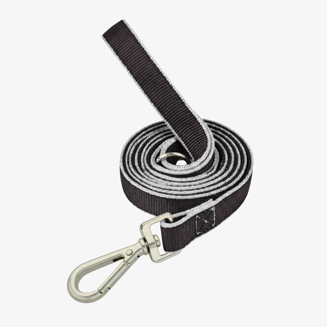 Correa de paseo plana 1.5mts*2.5cm