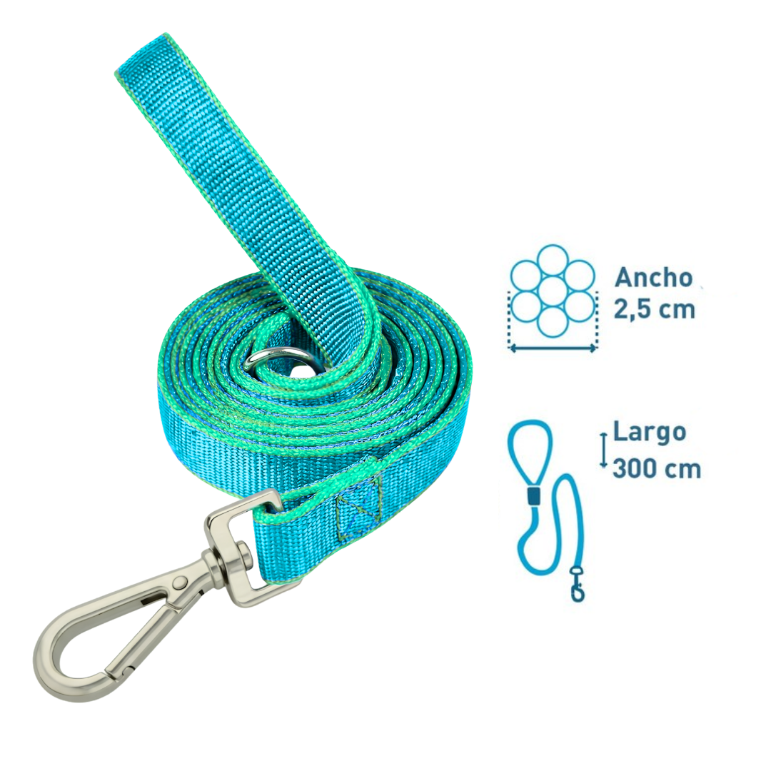 Correa de paseo plana 3mts*2.5cm