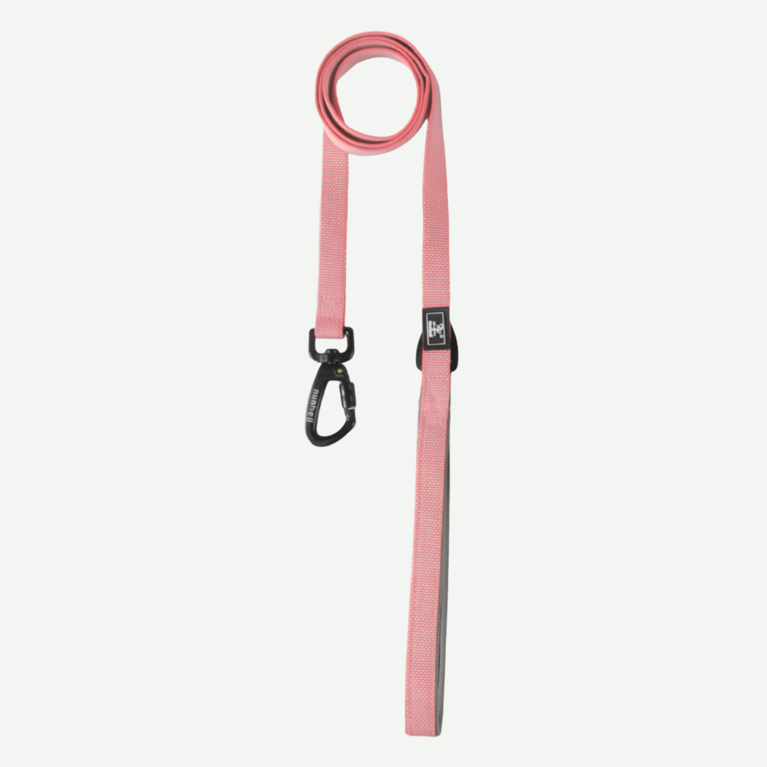 Correa de paseo 1.5mts * 2cm - Nunbell