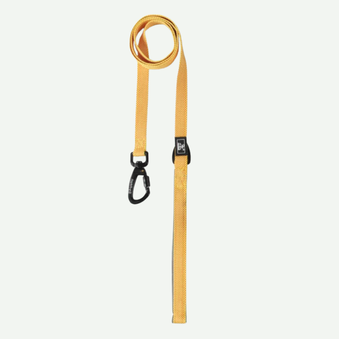 Correa de paseo 1.5mts * 2cm - Nunbell