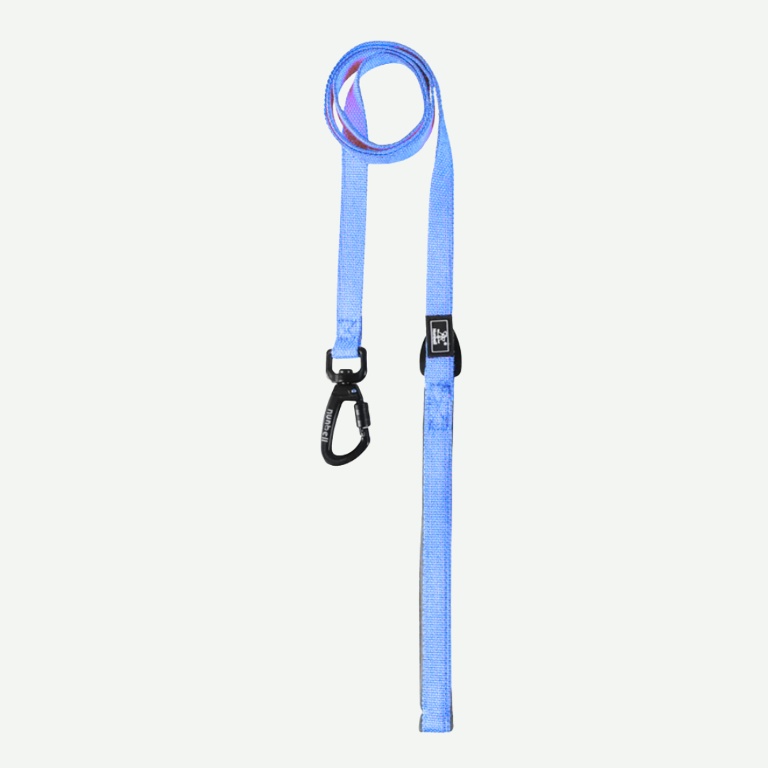 Correa de paseo 1.5mts * 2cm - Nunbell