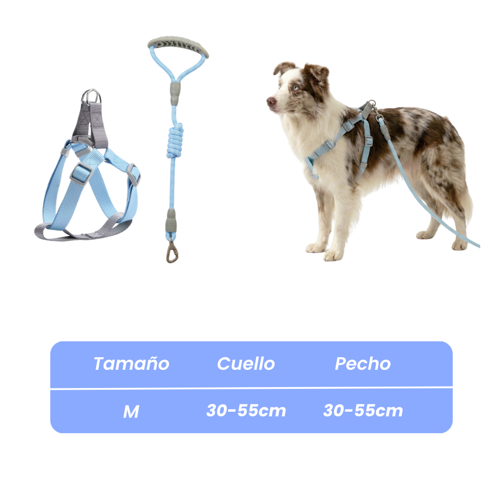 Conjunto Arnés + Correa Paseo Ligero 1.5mts