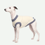 Chaleco Tejido para Perros